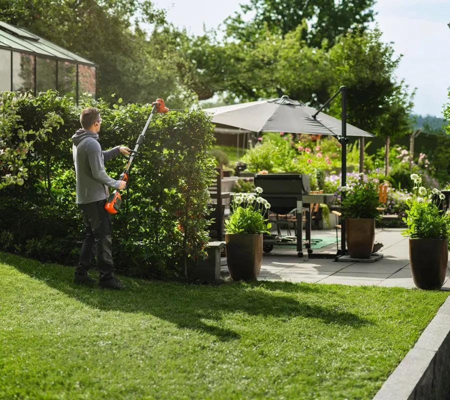 man trimming hedges in spring backyard